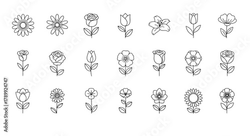 A collection of minimalist line art flower icons, featuring various floral designs with stems and petals, isolated on a white background, perfect for graphic design.