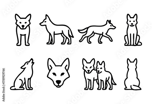 Set of eight line art illustrations depicting a coyote in various poses and views, including standing, sitting, walking, and howling. Simple, bold outlines on a white background.