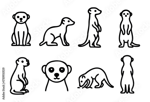 Collection of eight line art meerkat illustrations in various poses, including sitting, standing, and foraging. Perfect for children's books, websites, or educational materials.