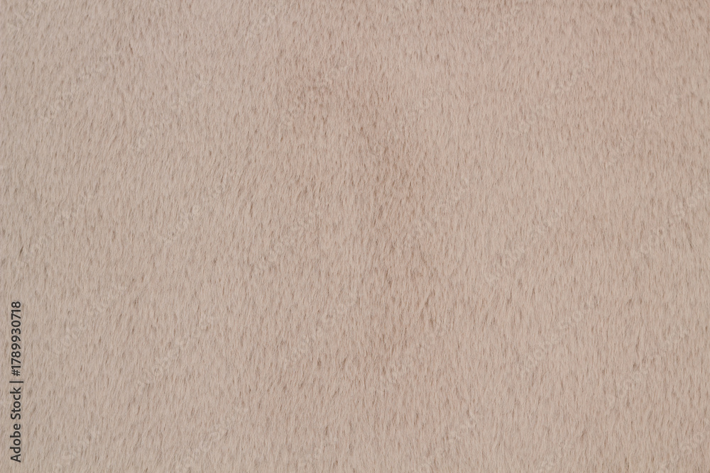 Obraz premium mink fur, background texture in your project