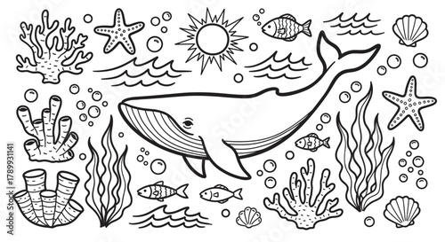 A charming hand-drawn collection of marine life elements. Featuring a majestic whale, playful fish, and various sea creatures. Ideal for children's coloring books or ocean-themed designs