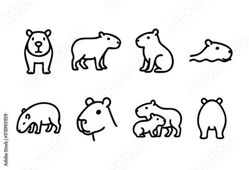Set of eight capybara line art illustrations showcasing various poses and views of the animal, including standing, sitting, swimming, and a mother with a baby. Perfect for educational materials, child