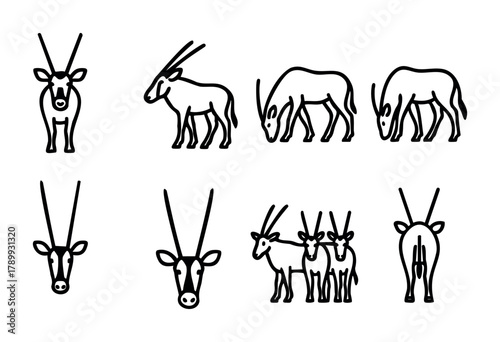 Set of line art illustrations depicting an Oryx antelope in various poses and views. The style is simple, black and white, and suitable for logo, icon, or infographic use.