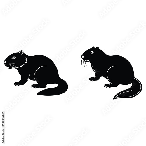 Rat Silhouette Black and White Vector