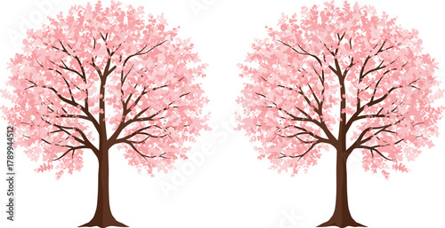 Cherry blossom trees, pink sakura flowers, spring season nature, floral background, blooming blossoms, botanical illustration, pastel colors, natural beauty, seasonal landscape
