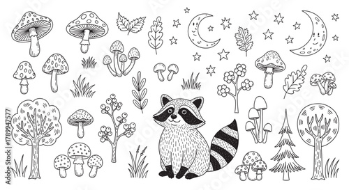 Cute raccoon and forest elements in a hand drawn doodle style. Collection of woodland nature icons including mushrooms trees leaves and stars for children's coloring pages