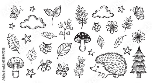 Cute collection of hand drawn forest elements in a doodle style. Set includes a hedgehog, butterflies, mushrooms, leaves and trees for autumn design or coloring pages