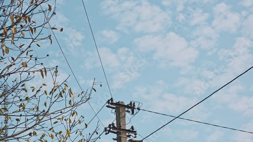 Concrete utility pole with power lines and autumn tree branches against a blue cloudy sky