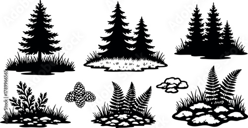 Pine tree silhouettes with ferns and rocks natural forest plants vector collection for design and decoration