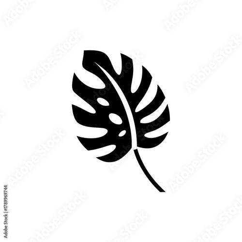 Silhouette of a monstera deliciosa leaf on transparent background