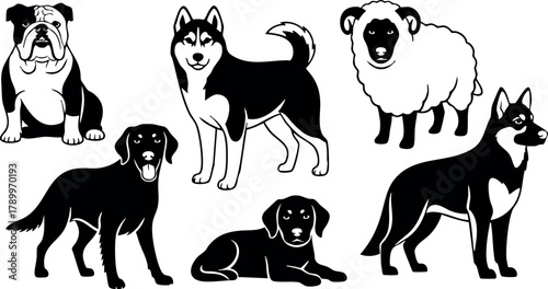 Collection of various dog breeds and sheep vector illustration in black and white style