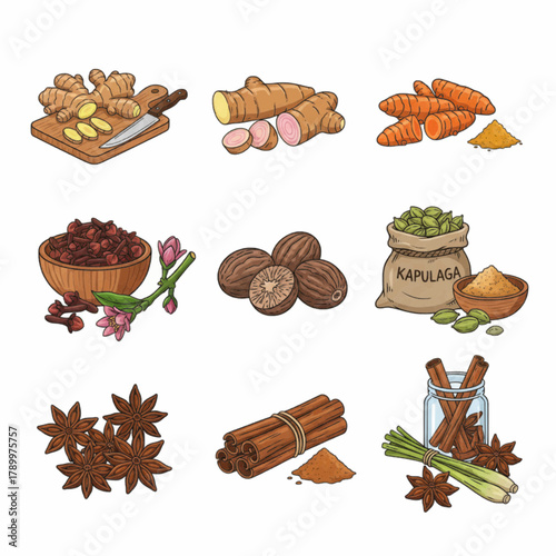 Hand Drawn Culinary Spices and Herbs Root Vegetables Food Ingredients Set