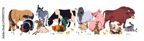 Crowd of different farm animals stands together. Group of ranch livestock. Happy countryside bull and cow, chickens, pig, sheep, horse and donkey. Flat isolated vector illustration on white background