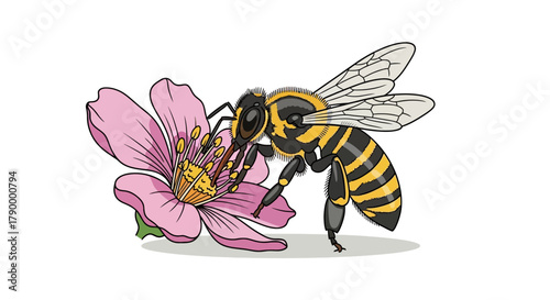 Bee Pollinating a Pink Flower Nature's Delicate Dance