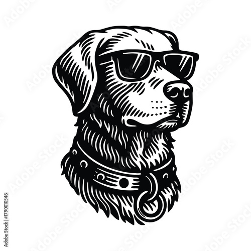 Cool dog wearing sunglasses and collar, staring intensely at viewer.