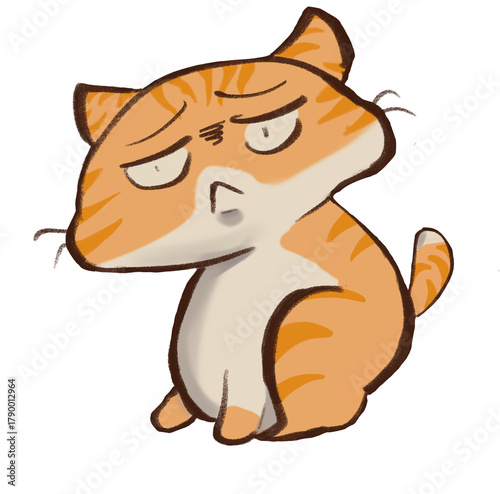Orange cat
