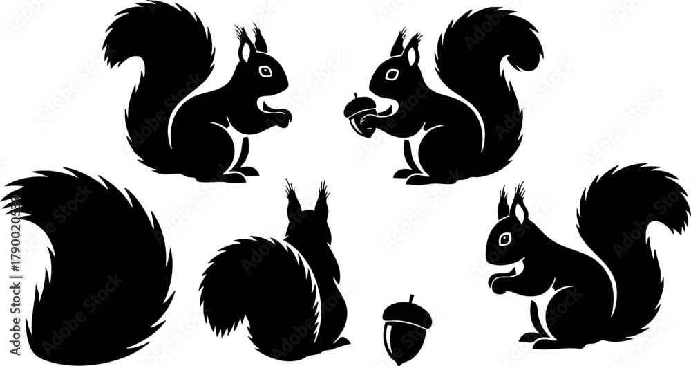 Fototapeta premium Squirrel silhouette vector set with acorn and tail isolated on white background for nature and wildlife design elements