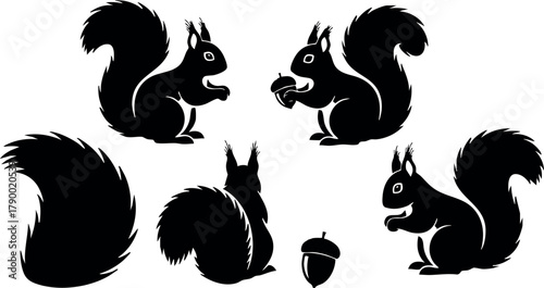 Squirrel silhouette vector set with acorn and tail isolated on white background for nature and wildlife design elements