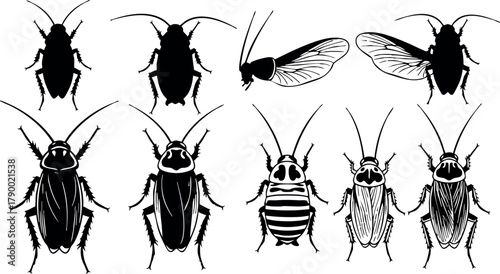 Cockroach silhouette collection showing different views and wing variations in black vector design