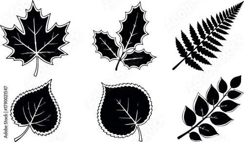 Black and white silhouette vector set of six different leaf shapes isolated on white background for nature and design projects