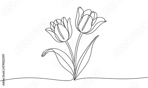 Minimalist continuous line drawing of two tulip flowers with elegant stems and leaves, modern floral sketch for decor, tattoo, and design