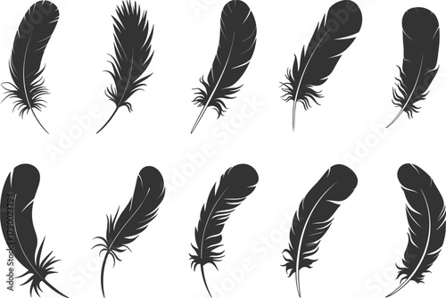 Collection Of Dark Grey Feather Silhouettes On White Background quill bird feather