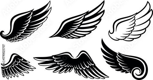 Set of black and white bird wings in different styles vector illustration for design and decoration purposes