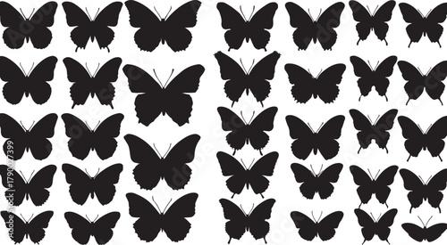 Scattered Black Silhouettes of Various Butterfly Species insect moth
