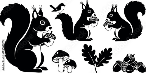 Squirrels holding acorns with mushrooms oak leaves and acorns vector illustration silhouette
