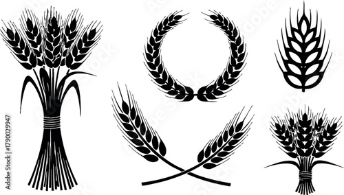 Wheat ears bundle and laurel wreath vector silhouettes for agriculture and harvest design elements
