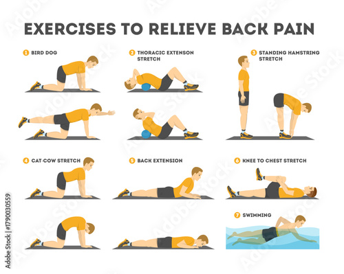 Exercises to Relieve Back Pain Infographic