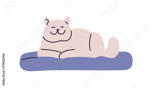 Cute happy cat lying, relaxing on pet bed, cushion. Home feline animal, kitty...