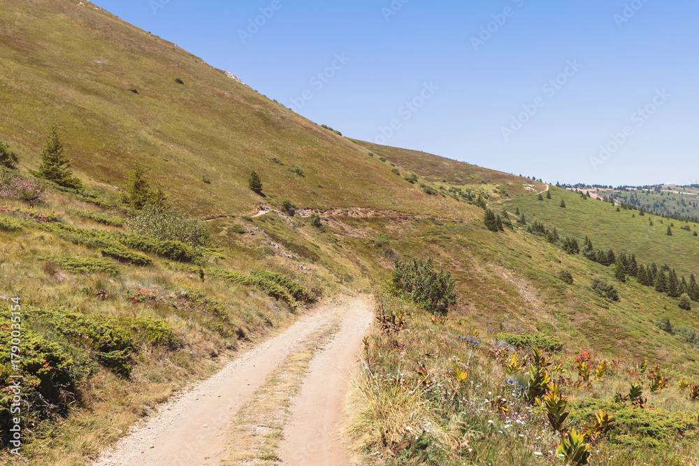 Naklejka premium Scenic dirt trail winding through rolling green hills under blue sky