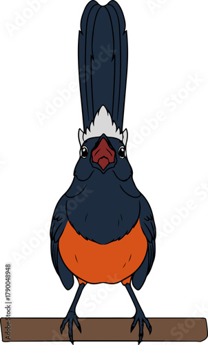 Cute Cartoon Singing Shama Bird Perched on Branch