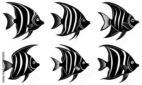 Elegant tropical fish collection, perfect for ocean conservation efforts, aquarium designs, or marine biology presentations, showcasing exotic sea life