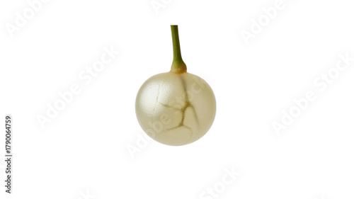 White currant berry