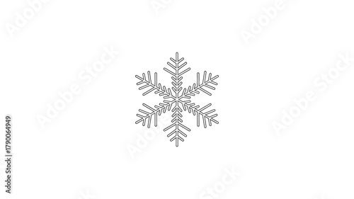 Snowflake on a black background