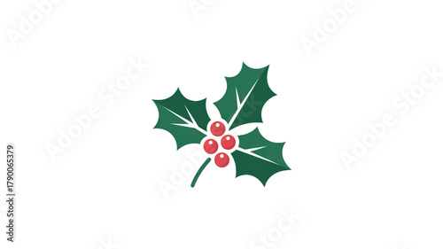 Holly berries and leaves on black background