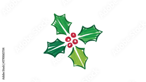 Holly berries and leaves isolated on black