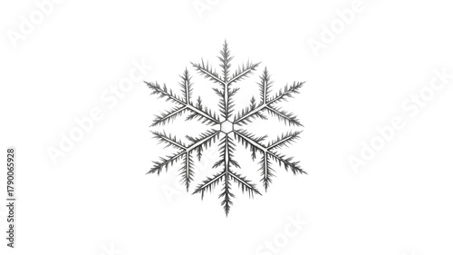 Detailed snowflake on black background