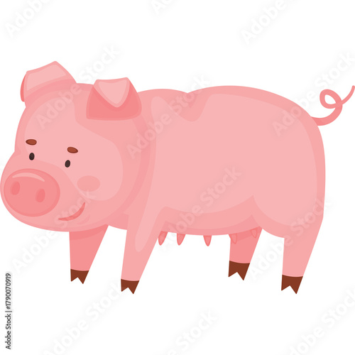 Cute Pink Pig Standing on Transparent Background Looking Forward