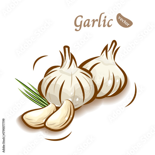 ポップアートな可愛いニンニクのイラスト｜新鮮野菜のベクター素材