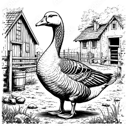 A goose on a farmstead. Rustic house, simple drawing, sketch. Vector illustration. Farm bird, isolated on a white background. Grass and bushes