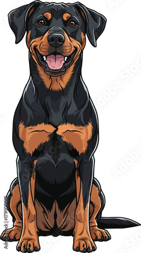 Gonczy Polski dog sitting facing front smiling vector illustration