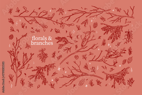 Hand drawn sketch elegant delicate spruce winter Christmas branches
