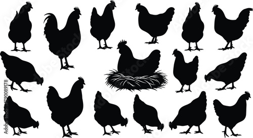 Illustration of a collection of chicken silhouettes in various poses, including standing, pecking, and sitting