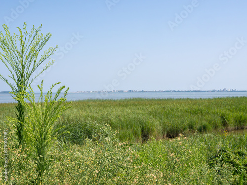 Marano, Italy - July 31st 2024: View over the Laguna die Marano from Adria cycling trail.