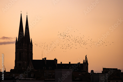 Canvas Print Flock of birds at sunset, church