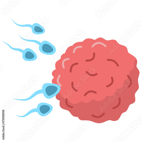 Active Sperm Cells Swim to the Egg