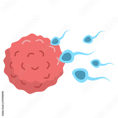 Active Sperm Cells Swim to the Egg